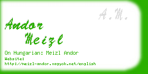 andor meizl business card